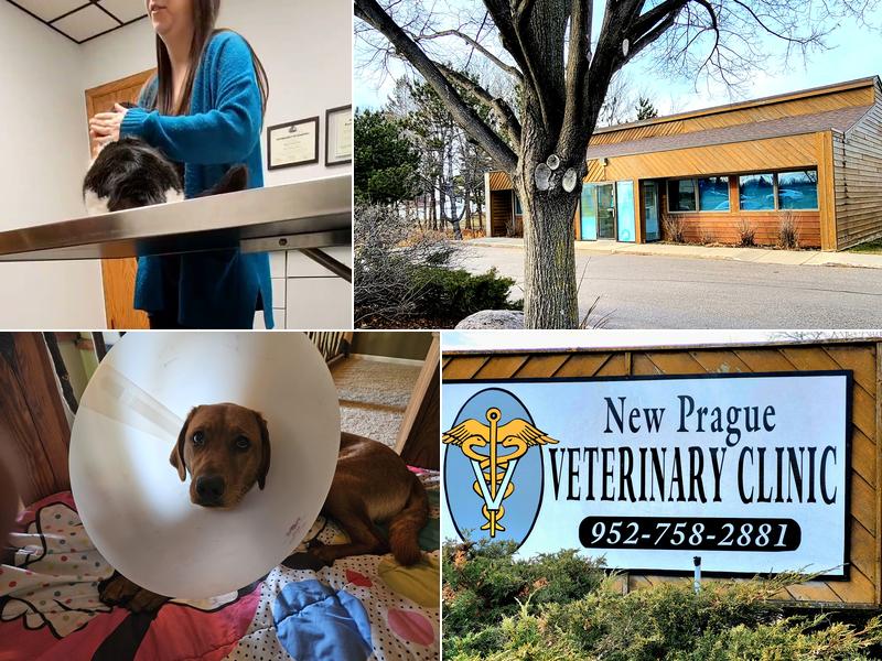 New Prague Veterinary Clinic