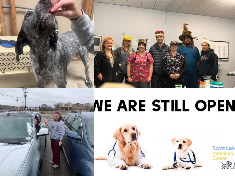 Scott Lake Veterinary Center: Monn Alana DVM
