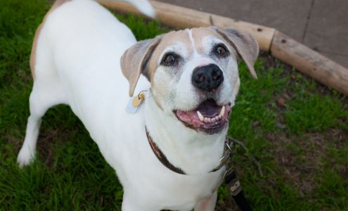 Lake Austin Blvd Animal Hospital