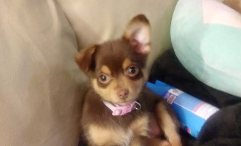 Fargo-Moorhead Animal Hospital