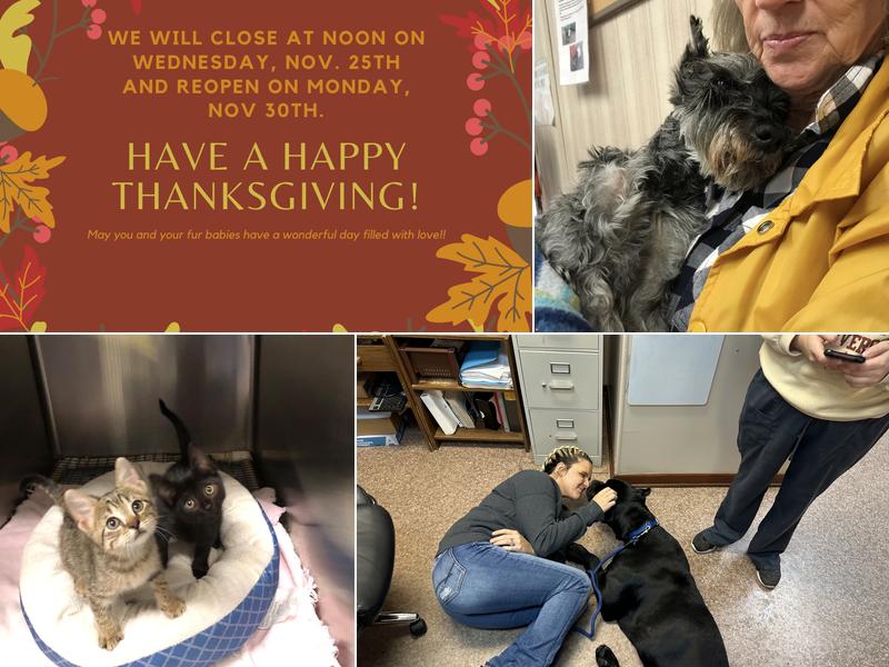 Coreil Veterinary Clinic