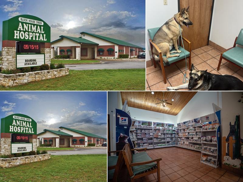 Block House Creek Animal Hospital