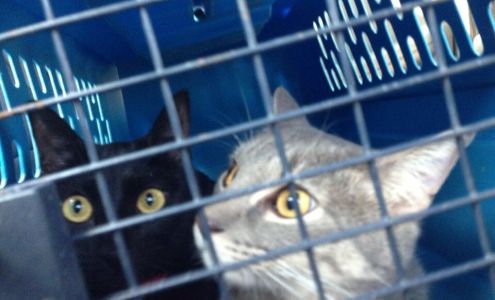 Hyde Park Animal Clinic