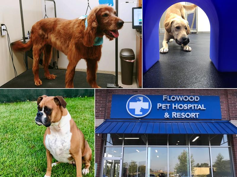 Flowood Pet Hospital and Resort