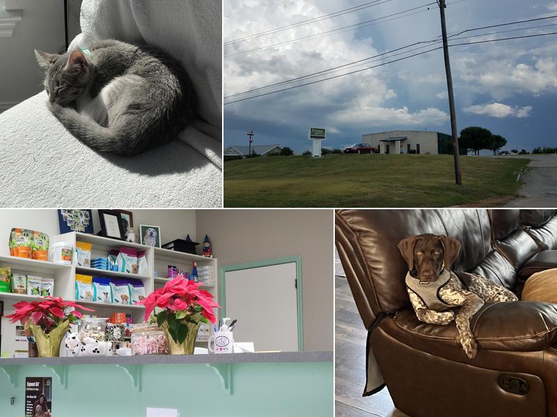 Manor Veterinary Hospital