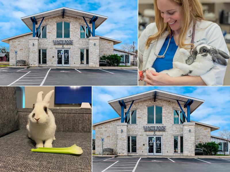 White Rock Veterinary Hospital