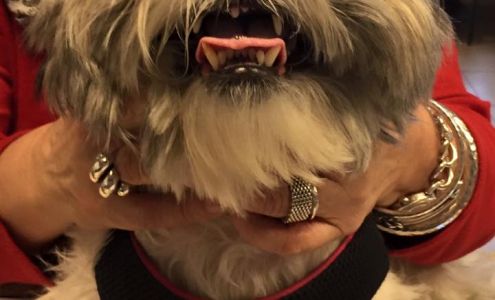 Austin Vet Care at Metric, A Thrive Pet Healthcare Partner