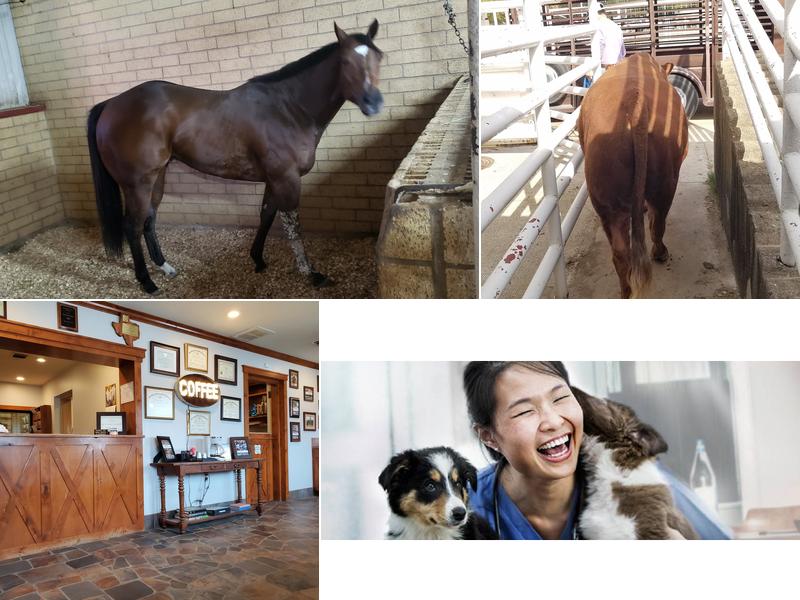 Elgin Veterinary Hospital, A Thrive Pet Healthcare Partner