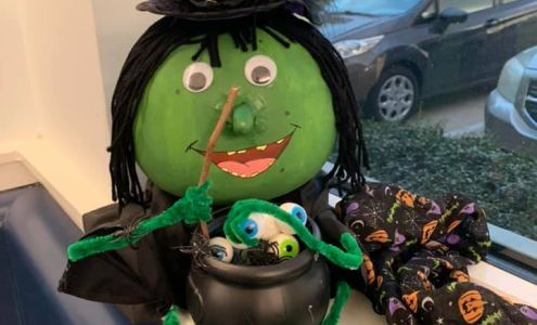 Burdick Felicia DVM Ocean Springs