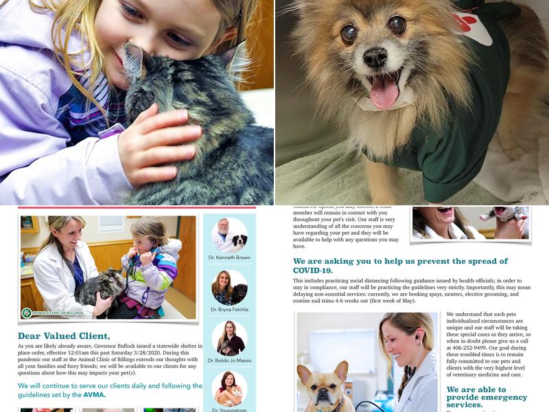 Animal Clinic of Billings: Schmidt Lindsay DVM