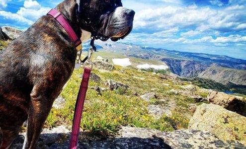 Skyview Veterinary Hospital Billings