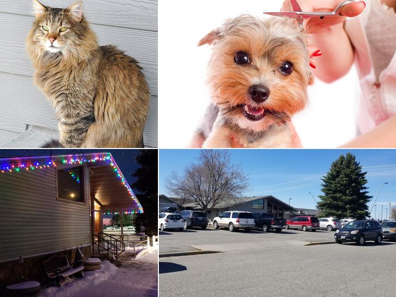 Caring Hands Veterinary Hospital