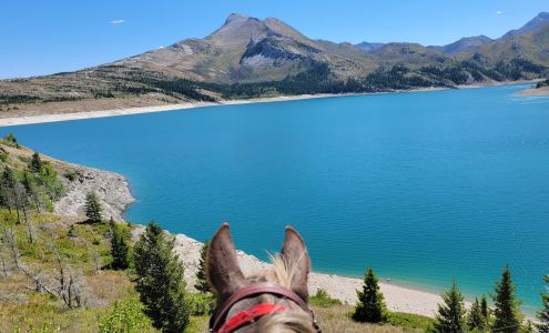 Lockwood Veterinary Services Billings