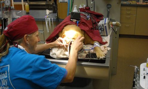 Shiloh Veterinary Hospital Billings