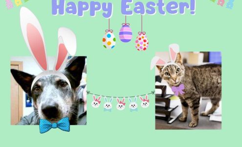 Bruner, Rob, Dvm - Big Sky Pet Ctr Billings