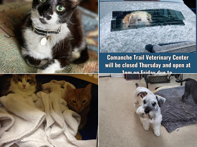 Comanche Trail Veterinary Center