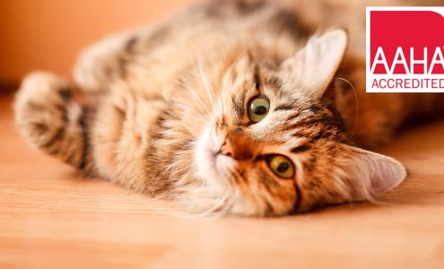 Westside Veterinary Center