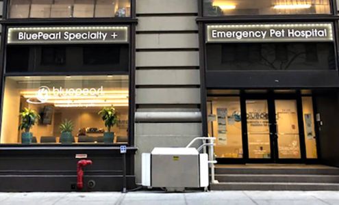 BluePearl Pet Hospital