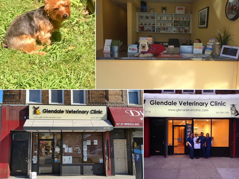 Glendale Veterinary Clinic