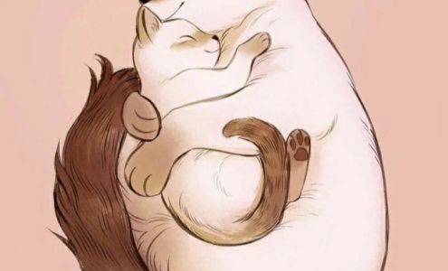 Vet In Queens/USDA Vet