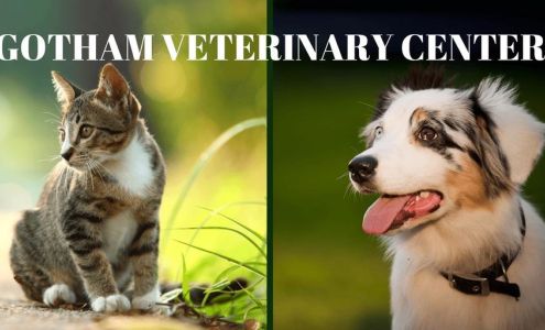 Gotham Veterinary Center