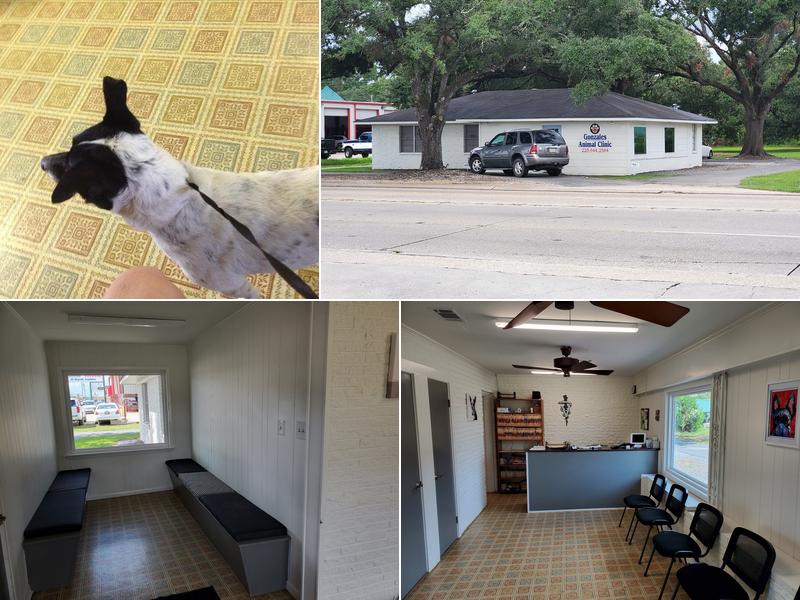 Gonzales Animal Clinic