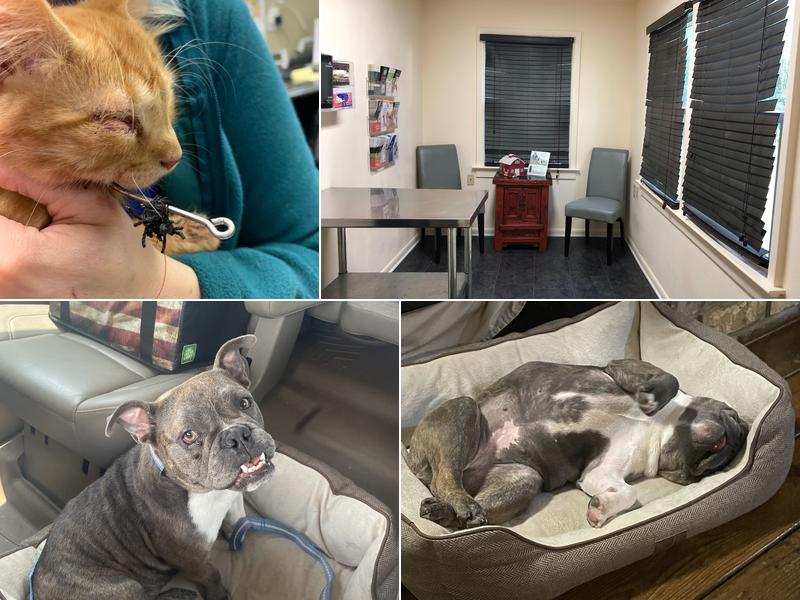 St. Gabriel Animal Hospital