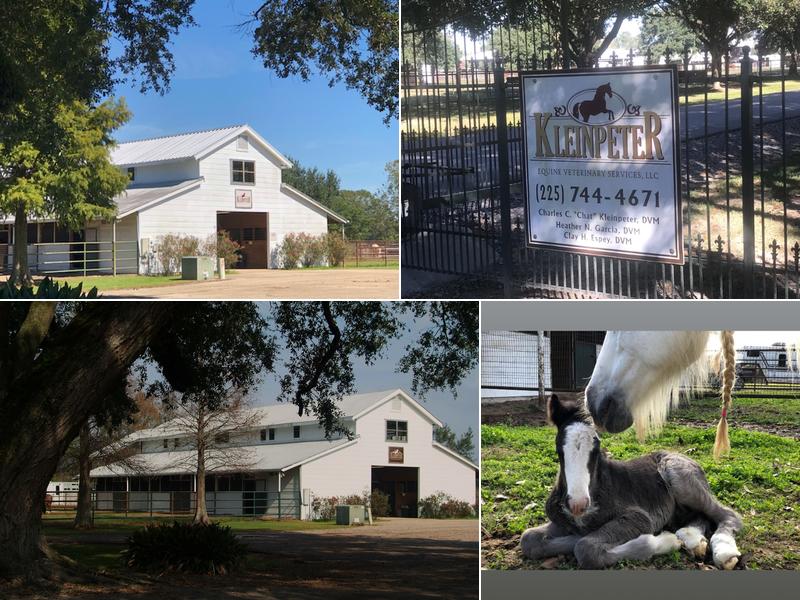 Kleinpeter Equine Veterinary Services