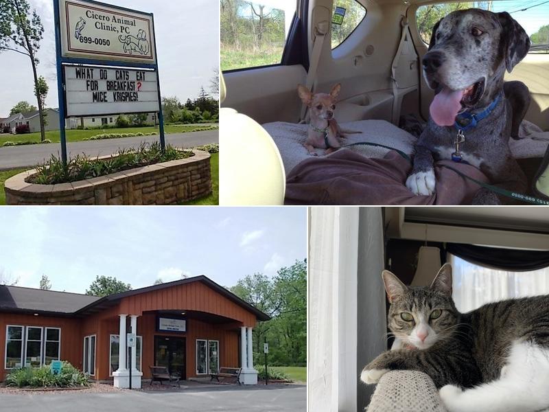 Cicero Animal Clinic, P.C