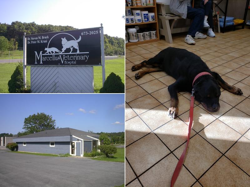 Marcellus Veterinary Hospital
