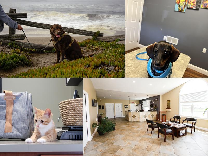 Lafayette Veterinary Clinic