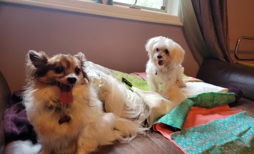 Bloomingrove Veterinary Hospital