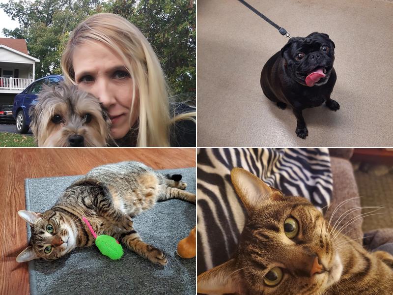 Boght Veterinary Clinic