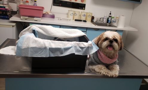 Petcare Animal Clinic