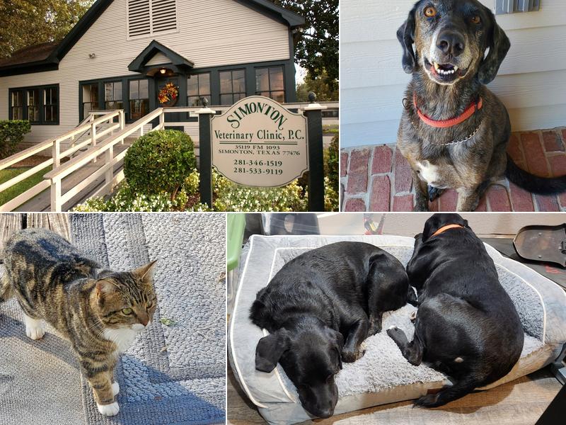 Simonton Pets