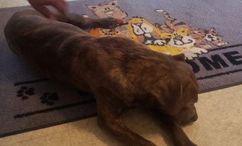 Sealy Veterinary Clinic 1430 Texas 36 N, Sealy Texas 77474