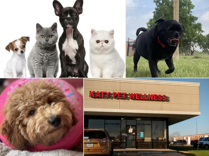 Katy Pet Wellness Solutions