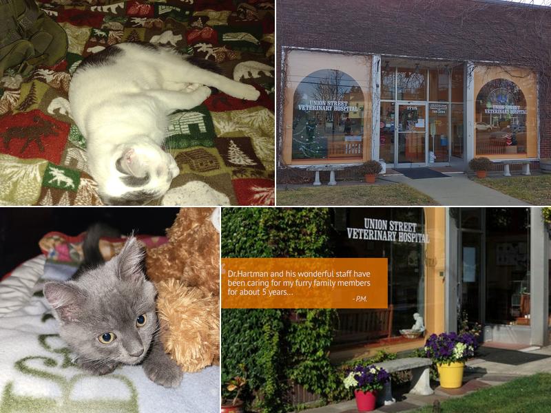 Union St Veterinary Hospital