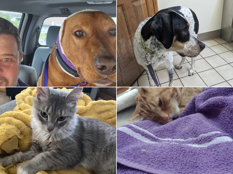 Herkimer Veterinary Associates