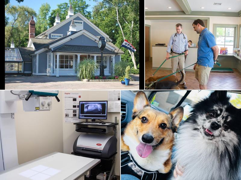 The Village Veterinary Center