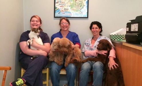 South Bay Veterinary Clinic 966 Boston Neck Rd, Narragansett Rhode Island 02882