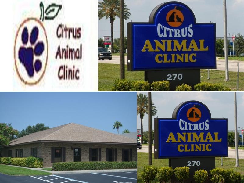 James P. Waller, Jr., DVM