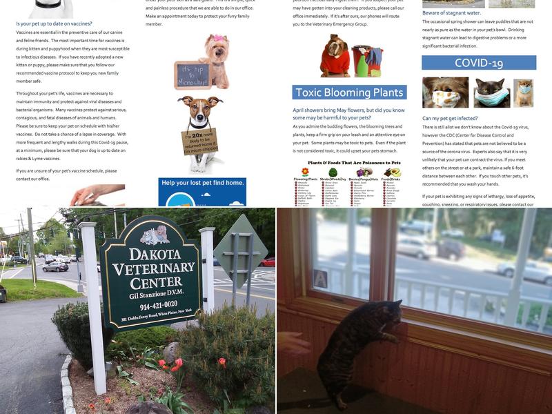 Michalek Peter J DVM