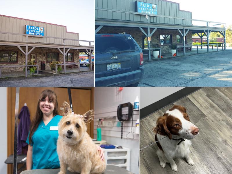 Seidl Veterinary Hospital