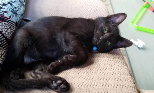 Veterinary Medical Center