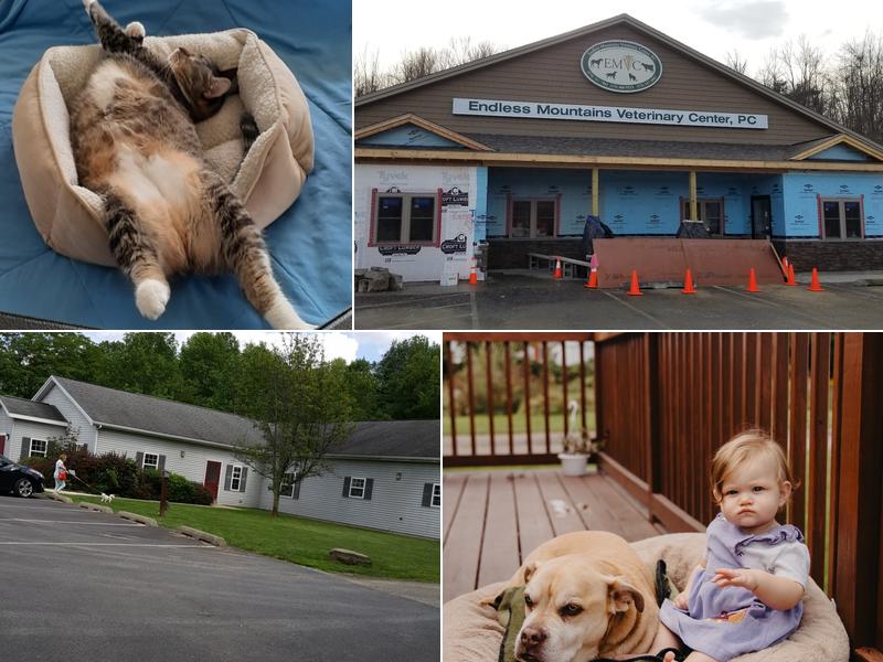 Endless Mountains Veterinary Center, PC - Owego Veterinary Hospital
