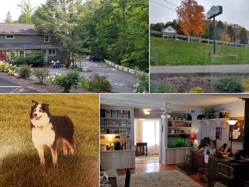 Endless Mountains Veterinary Center, PC - Montrose Veterinary Clinic