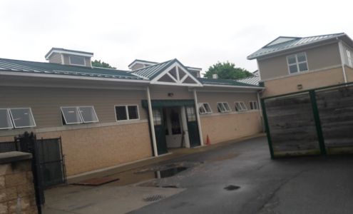 Cornell Ruffian Equine Specialists