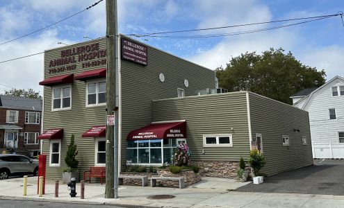 Bellerose Animal Hospital