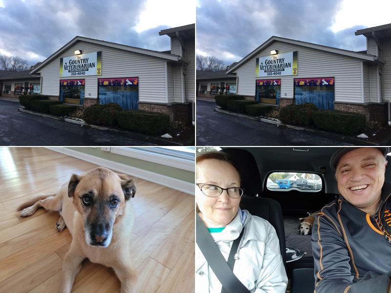 Spencerport Country Veterinarian: Dr. Steven Aimi